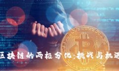区块链的两极分化：挑战与机遇