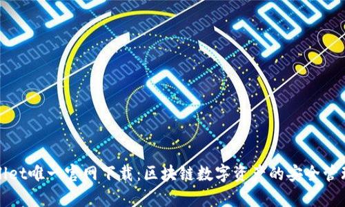 tpWallet唯一官网下载：区块链数字资产的安全管理利器