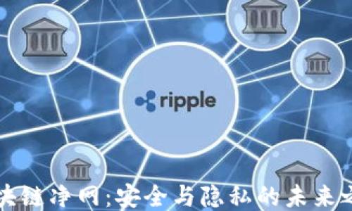 
区块链净网：安全与隐私的未来之路