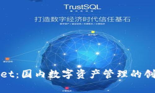 tpWallet：国内数字资产管理的创新选择