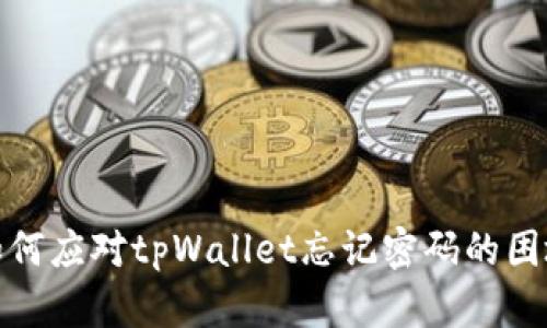 如何应对tpWallet忘记密码的困境