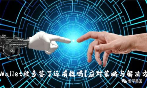 tpWallet被多签了还有救吗？应对策略与解决方案