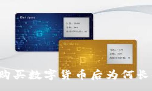 :
在tpWallet中购买数字货币后为何长时间等待确认？
