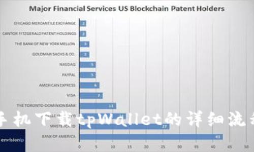 苹果手机下载tpWallet的详细流程解析